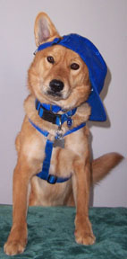 amber wearing a hat